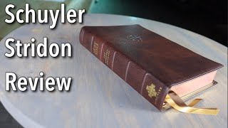 Schuyler Stridon 2020 NASB Review [upl. by Sonny]