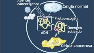 Clase magistral hemovacuna azul de metilenotratamiento oncologico erickpereazamudio hemovacuna [upl. by Annawahs]