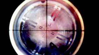 Optical Scope Alignment [upl. by Adnouqal]