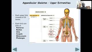 Chapter 7  Appendicular Skeleton [upl. by Isleen560]