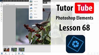 Photoshop Elements Tutorial  Lesson 68  Guided Photomerge Exposure [upl. by Minnnie233]