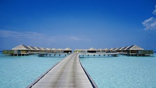 Maldives Beach and Water Villas [upl. by Lairbag]