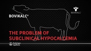 The Problem of Subclinical Hypocalcemia [upl. by Leinad]