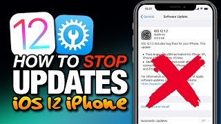 How To STOP amp REMOVE UPDATES On iOS 12  tvOS For iOS 12 On iPhone amp iPad [upl. by Moor]