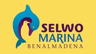 Selwo Marina Dolphinarium Benalmadena Andalusia  Dolphins Penguins ZOO [upl. by Sherurd]