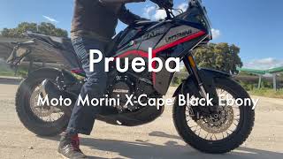 Prueba Moto Morini X Cape motomorinixcape morinixcape [upl. by Novoj]