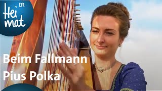 Frillensee Musi Beim Fallmann Pius Polka  Musik in den Bergen  BR Heimat  die beste Volksmusik [upl. by Judah514]