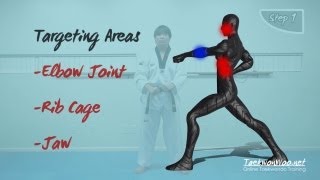 Taekwondo One Step Sparring taekwonwoo [upl. by Shien561]