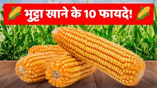 Corn खाने के 10 फायदे। मकई भुट्टा में कौनकौन से विटामिन होते हैं। bhutta makai [upl. by Ahsena]