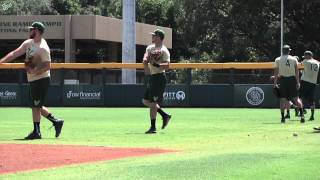 USF Baseball AAC Tournament Preview [upl. by Horan]