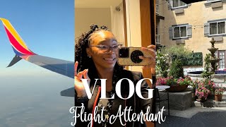 Flight Attendant Vlog Working 6 Days in a Row New layover [upl. by Vastah]