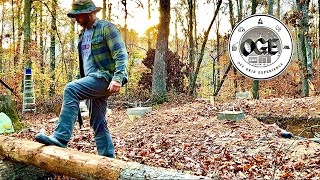 Building a Hardwood Log Cabin  Slow and Steady Progress  Ep 3 [upl. by Fricke]