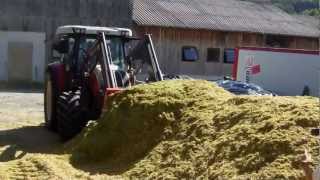 LU Sachs Mais Silage 2012 [upl. by Swithin96]