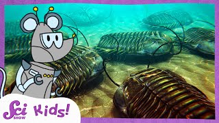 Mysterious Trilobites  The History of Life  SciShow Kids [upl. by Akirahc893]