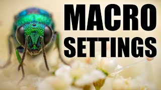 How to Master Settings in Macro Photography [upl. by Coonan]