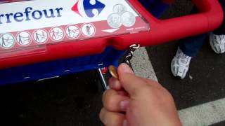 European Shopping Carts  Coin Operated [upl. by Olodort]