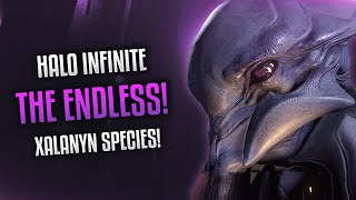 Halo Infinite  THE ENDLESS REVEALED Xalanyn Species Surviving Halo Precursors and More [upl. by Mannuela]