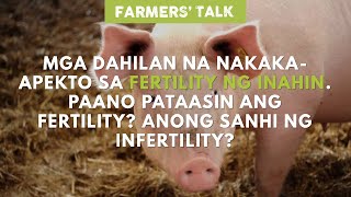 Farmers Talk Paano Pataasin Ano Ang Sanhi at Mga Dahilan na Nakakaapekto sa Fertility ng Inahin [upl. by Felicio823]