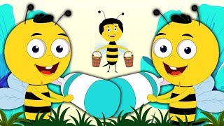 abeille doigt famille  doigt chanson famille  chanson bébé  Bee Finger Family  Kids Rhyme amp Song [upl. by Anole74]