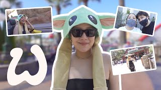 LA Vlog Part 1 Flying Out and Disney California Adventures  Winnie Wong [upl. by Mechling]