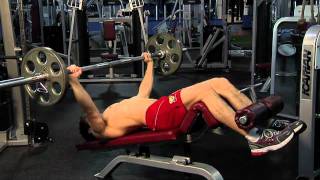 WideGrip Decline Barbell Bench Press [upl. by Minsk597]