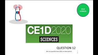 CE1D Sciences 2021  question 12  corrigé [upl. by Lhok]