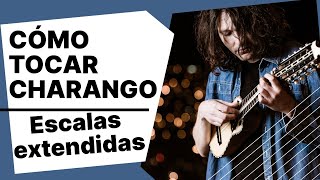 CÓMO TOCAR CHARANGO  Escalas extendidas  Alfredos Music Dojo [upl. by Penoyer190]