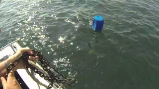 Retrieving your anchor using the float system [upl. by Dasi]