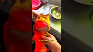 Fish slipper😨 New Viral Gadgets Smart Appliances Kitchen Utensils Home Inventions shorts [upl. by Fadas539]