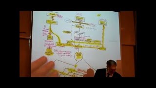 BIOLOGY CELLULAR RESPIRATION 2012 Part 3 by Professor Finkwmv [upl. by Sofia]