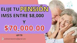 Elije tu PENSION IMSS entre 8000 y 70000 Ley 73 modalidad 40 [upl. by Teague]