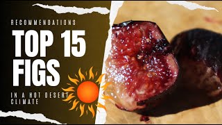 Top 15 Fig Varieties in 2019  AZ 9B [upl. by Nahtanohj]