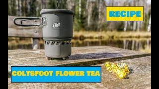 How to Make Tea From Coltsfoot Flowers  Easy Outdoor Drinks [upl. by Arocal]