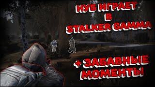 Первый раз играю в Stalker GAMMA [upl. by Aicirtak]