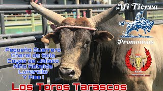 Los Toros Tarascos Los Parras y El Yaki en Boonville Ca 2019 [upl. by Quick]