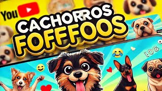 Momentos Incríveis Cachorros Fofos e Engraçados que Vão Derreter seu Coração [upl. by Botnick879]