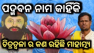 ପଦ୍ମବନ ନାମ କାହିଁକି  ଚିତ୍ରତ୍ଵଳା ନଦୀ ର କଣ ରହିଛି ମାହାତ୍ମ୍ୟ  ଆସନ୍ତୁ ଜାଣିବା । [upl. by Ause]