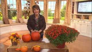 Fall Decorating Ideas with Jill Bauer [upl. by Ardnuhsal]