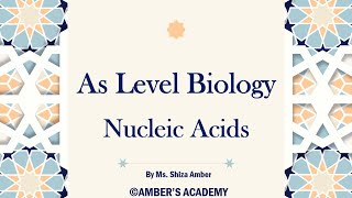 A Level Biology Nucleic Acids  Cambridge 9700  Part 1 [upl. by Eimmot]