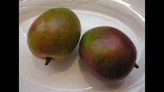 Mangos 101How to Ripen and Store a Mango [upl. by Eyks]