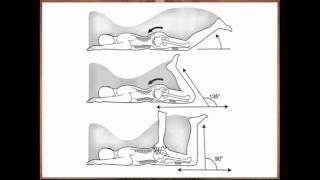 What Goes into Optimal Movement Quality [upl. by Jd]