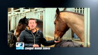 Equidia Life Académie  le Challenge avec Benjamin Castaldi  teaser 3 [upl. by Mylor]