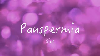 Panspermia  Siip cover [upl. by Gnouhk]