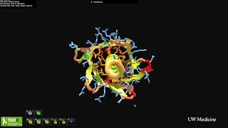 Gamers design brand new proteins using Foldit [upl. by Keiko741]