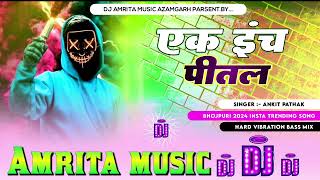 Ek Inch Pital  Ankit Pathak  Rangdaari Song  एक इंच पीतल  Rangdaari रंगदारी गाना Dj Amrita [upl. by Cilegna]