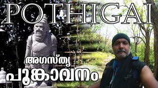 Agasthiyarkoodam  A Journey within [upl. by Amaleta]