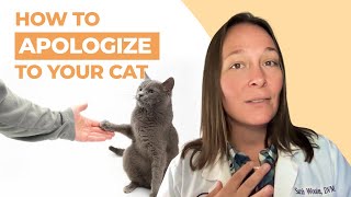 How to Apologize to Your Cat A Vets Advice [upl. by Llenoj]