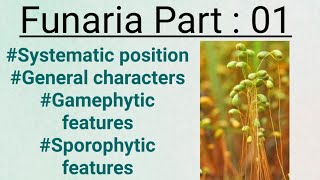 FunariaPart01General charactersGametophytic and sporophytic stage [upl. by Pernas]