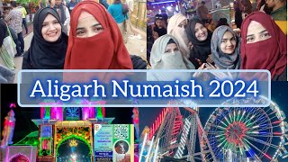 Aligarh Numaish 2024  Aligarh Exhibition 2024  Dost Ke Sath Gaye Numaish Aur Maze Bhi Kiye 🎡🎢🍝🍱😋🎉🔥 [upl. by Nylorak194]