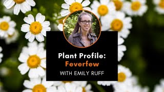 Plant Profile Feverfew with Emily [upl. by Hsatan]